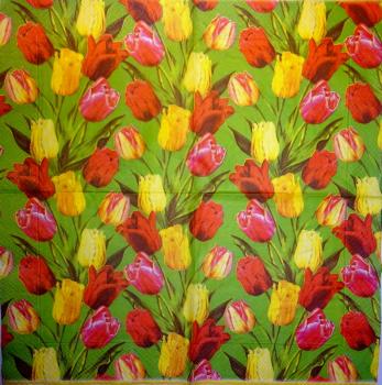 095 Tulpen - 3 lagig